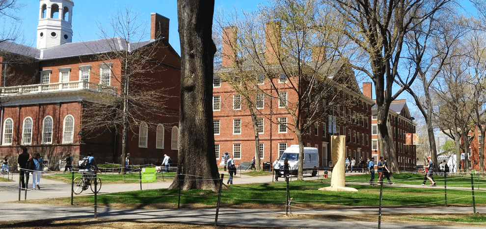 bioptimized-sculpture-harvard-arts-first-3